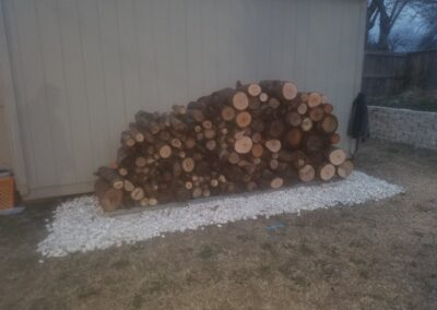 Tree logs piled