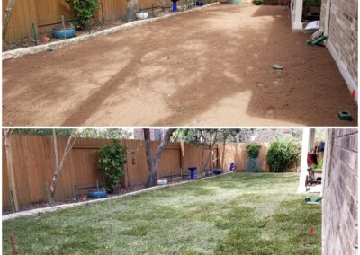 Before and After Sod Installation